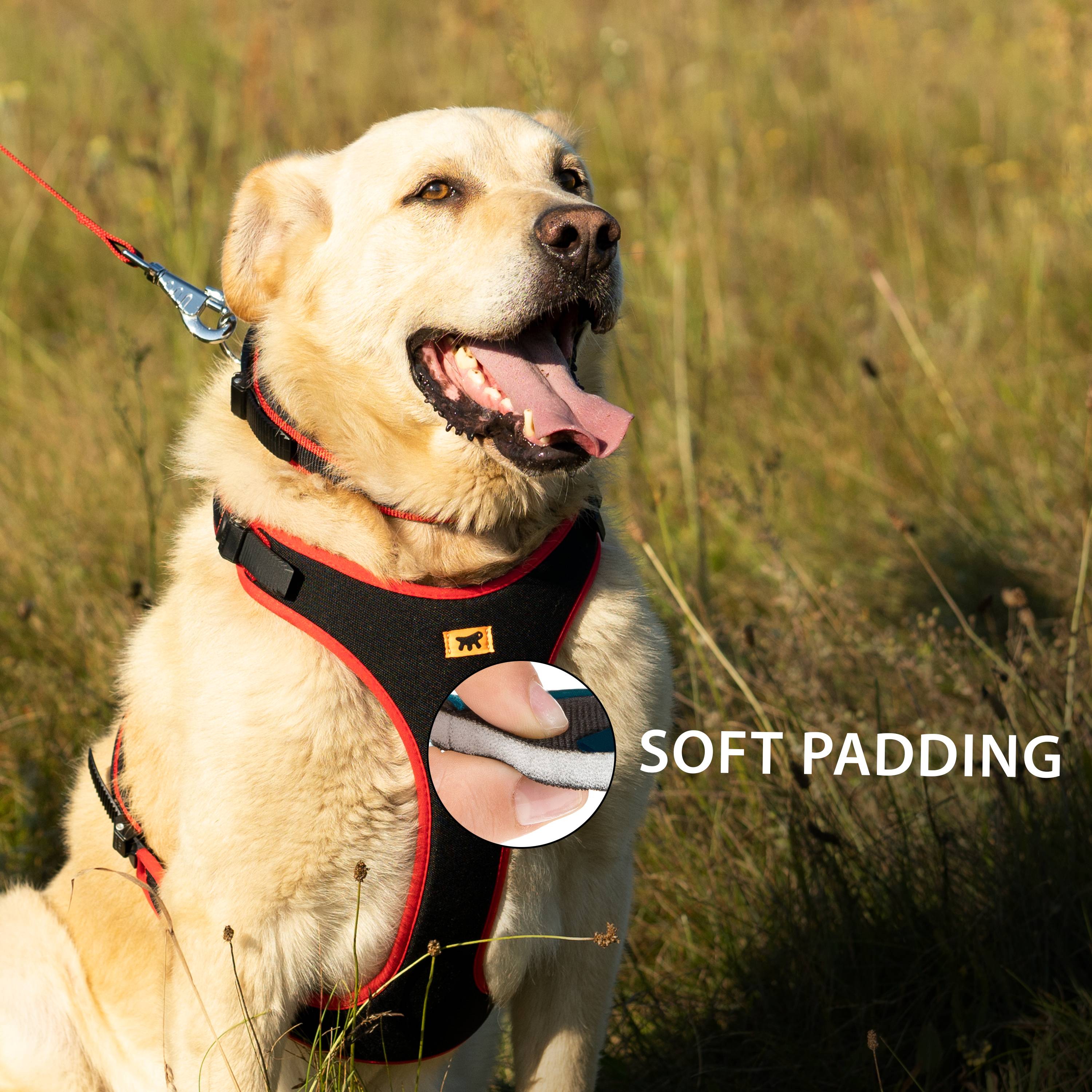 Ferplast - Ferplast Harnais pour chien petite taille ERGOCOMFORT EXTRA SMALL, Harnais pour chien réglable, Confortable, Rembourré, Fermeture double - Image 7
