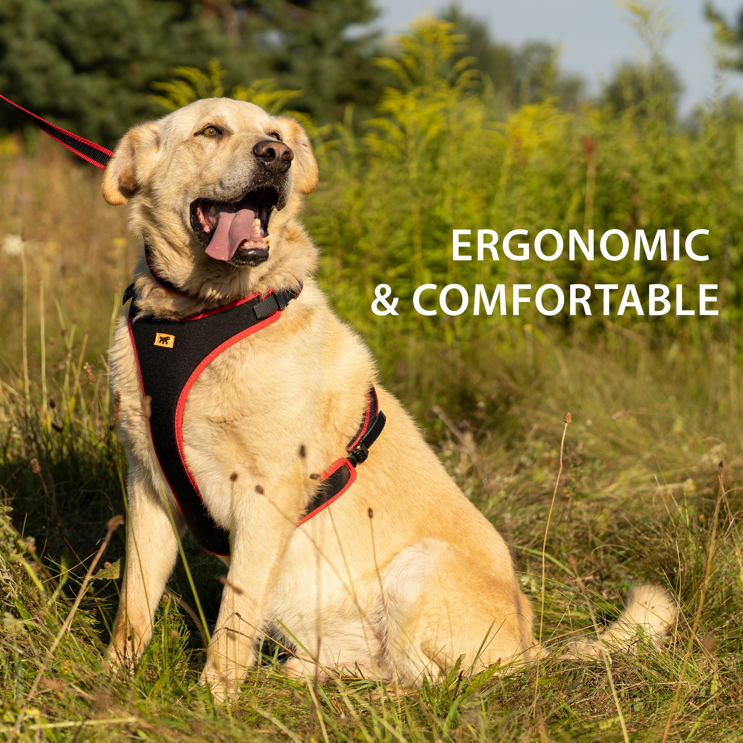 Ferplast - Ferplast Harnais pour chien petite taille ERGOCOMFORT EXTRA SMALL, Harnais pour chien réglable, Confortable, Rembourré, Fermeture double - Image 5