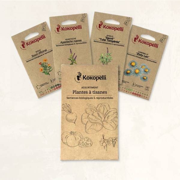 Plantes à tisanes - 4 sachets de graines bio à semer - Image 2