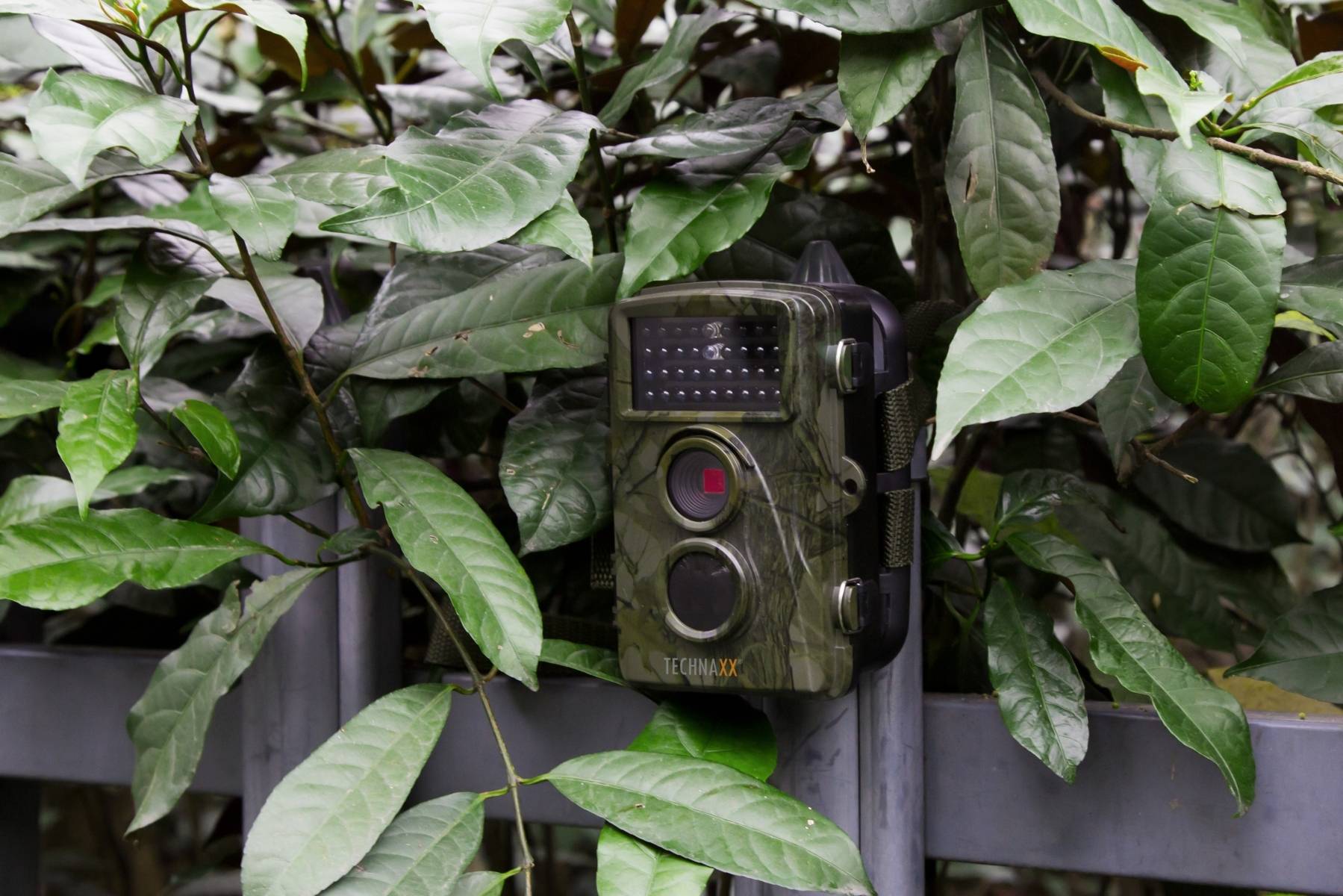 TECHNAXX - CAMERA DE SURVEILLANCE NATURE FULL HD TX-69 - Image 2