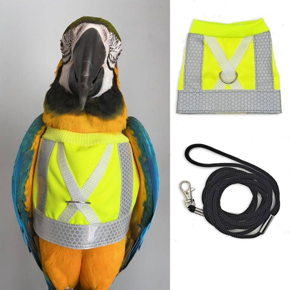 DtopbuyAge - Harnais pour oiseaux DtopbuyAge - Image 3