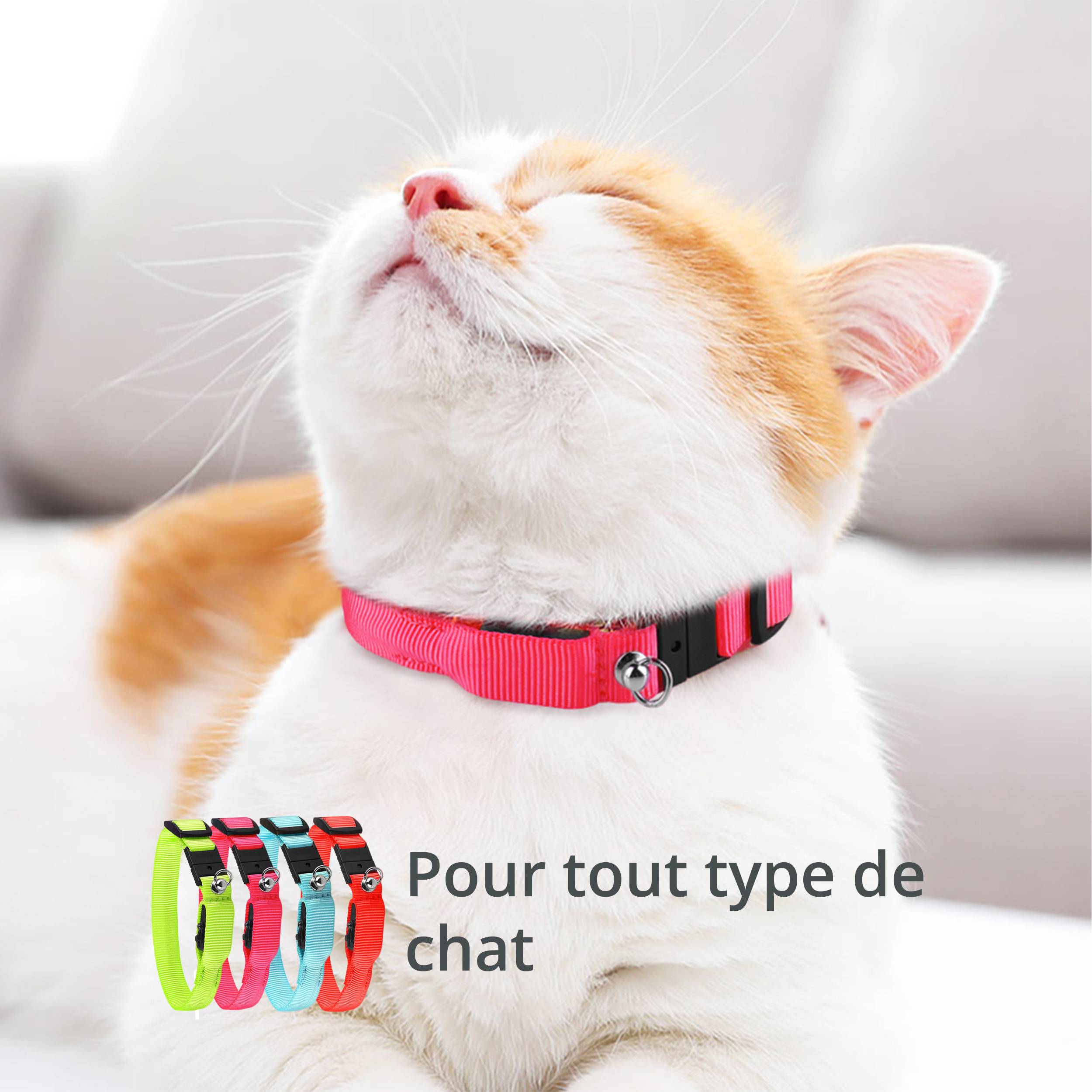 Petsation - Collier Lumineux pour Chat – LED Étanche– Haute Qualité, Stabilité & Sécurité – Fermoir de sécurité (rosé, s) – Petsation - Image 7