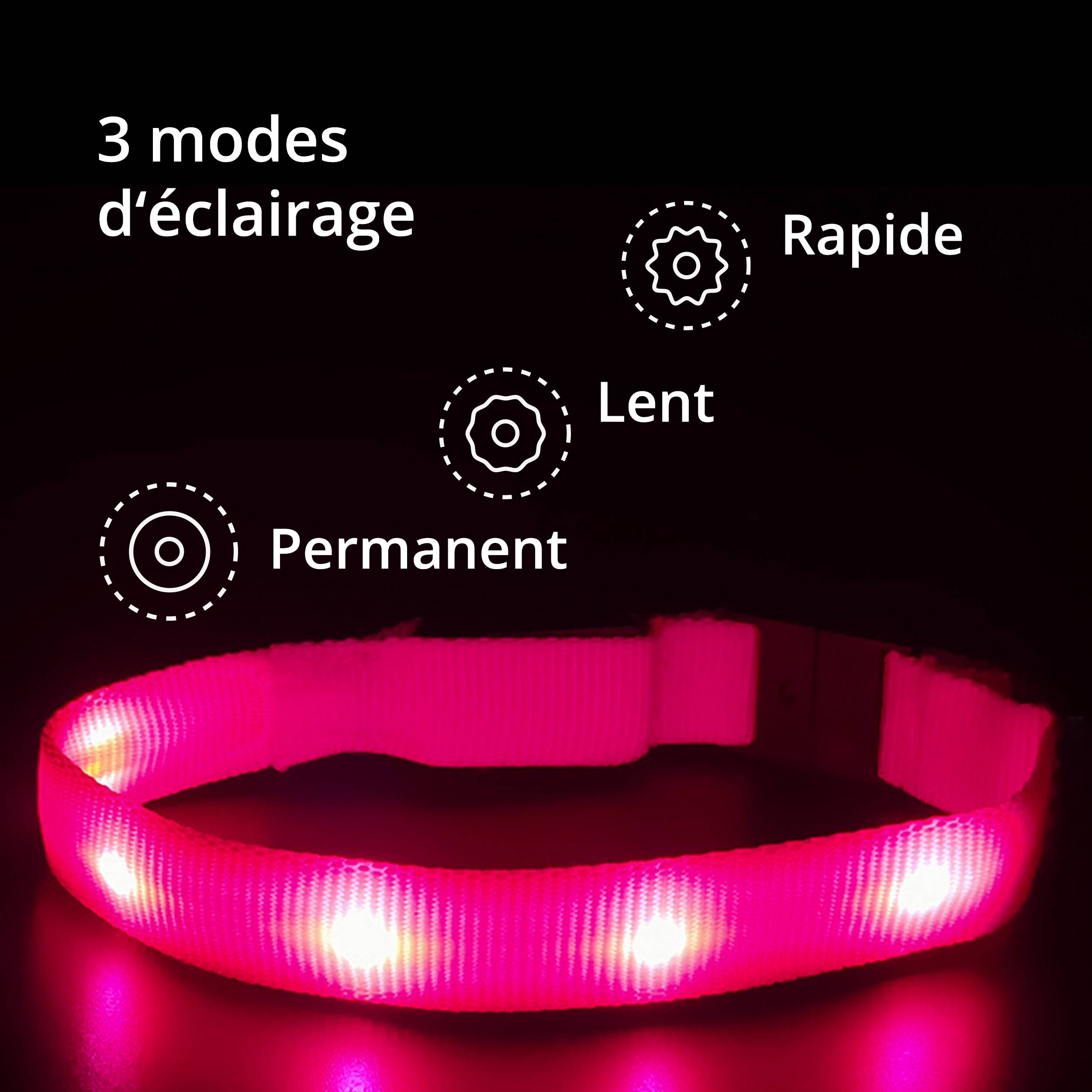 Petsation - Collier Lumineux pour Chat – LED Étanche– Haute Qualité, Stabilité & Sécurité – Fermoir de sécurité (rosé, s) – Petsation - Image 3