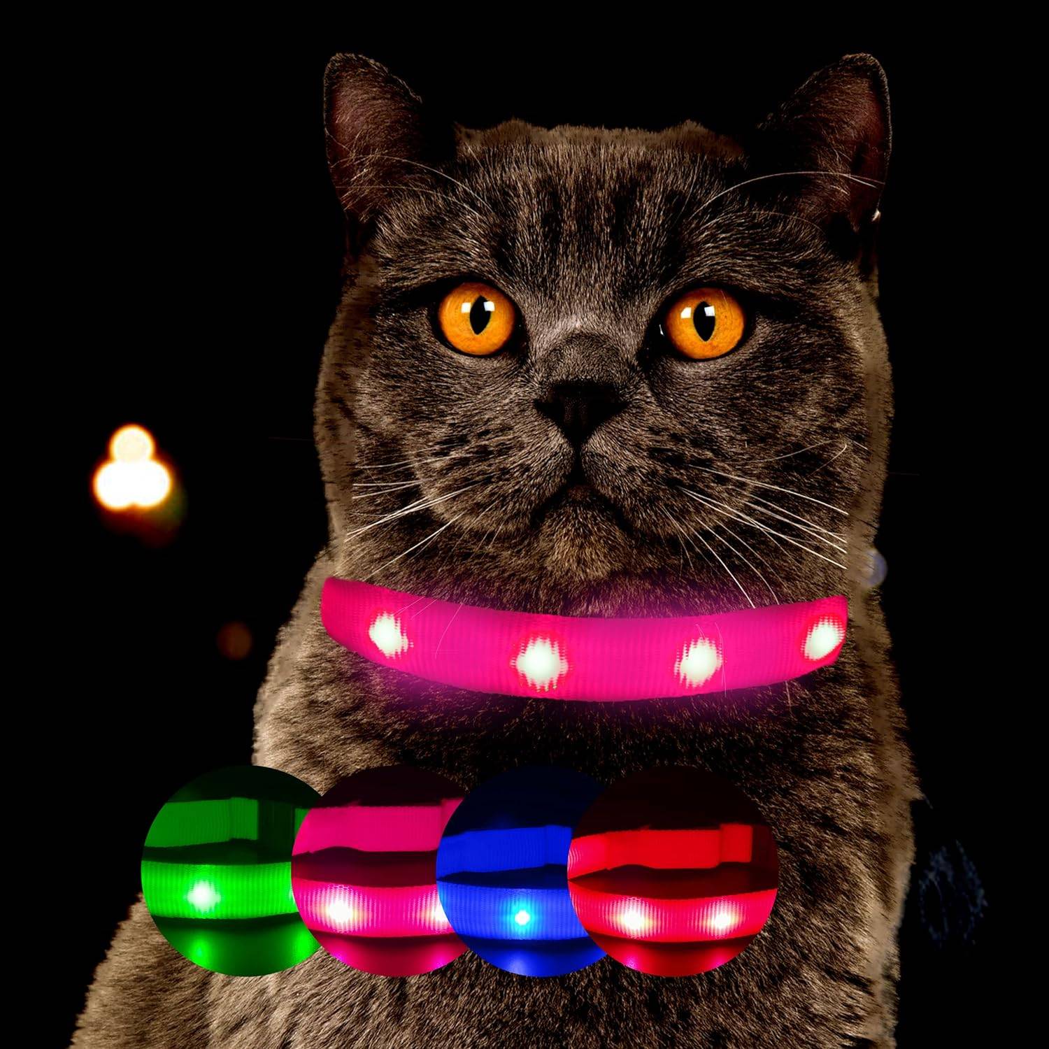 Petsation - Collier Lumineux pour Chat – LED Étanche– Haute Qualité, Stabilité & Sécurité – Fermoir de sécurité (rosé, s) – Petsation - Image 2