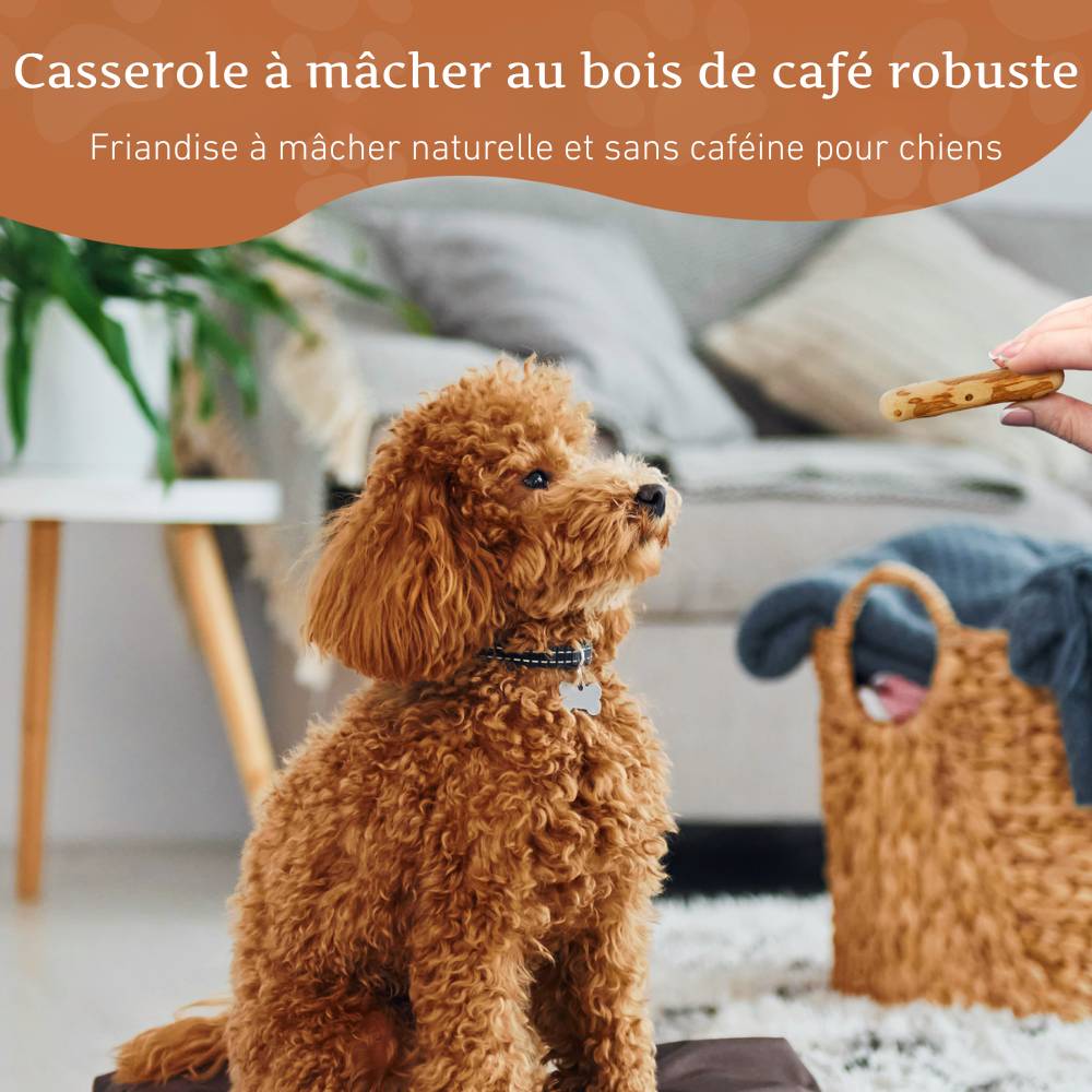 Wildfang - Wildfang - Café sur bois causab -  1 x XXS - Image 7