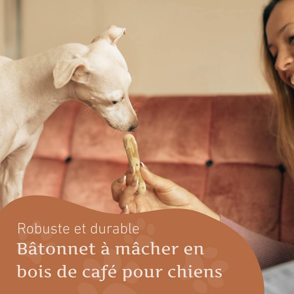 Wildfang - Wildfang - Café sur bois causab -  1 x XXS - Image 2