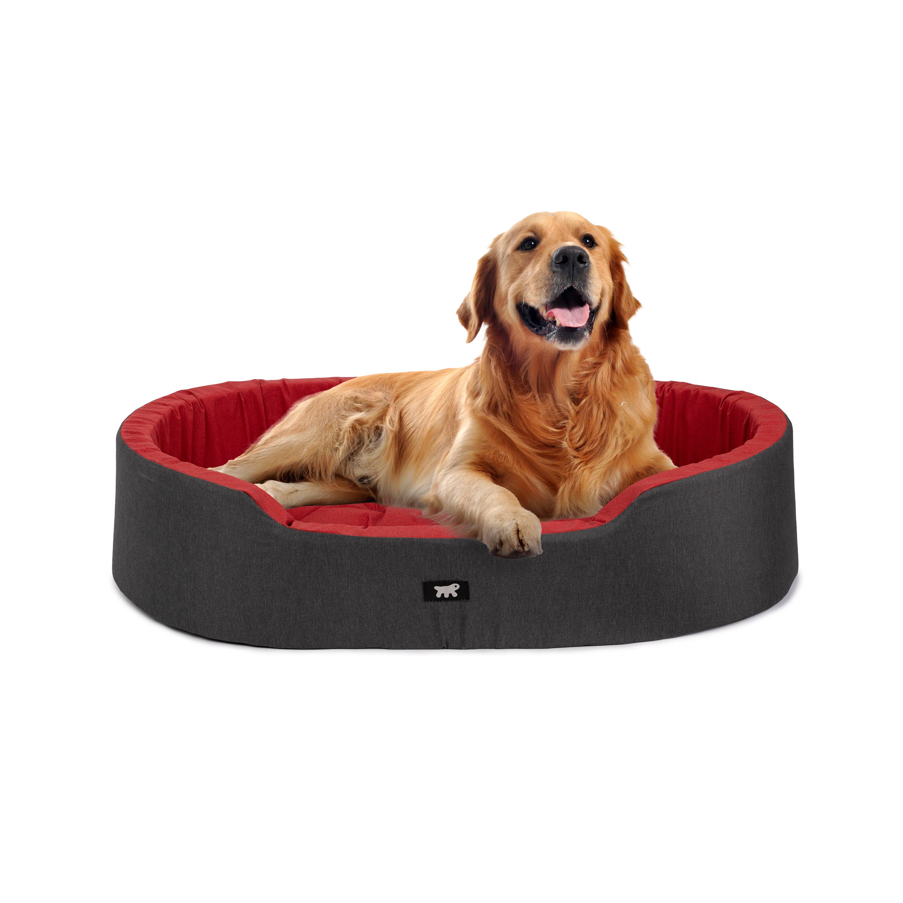 Ferplast - Ferplast Panier Chien Dandy, Coussin Amovible et Lavable, Housse en Coton avec Rembourrage Doux, Lit Chiens Moyen, 95 x 60 x H 21 cm, Rouge - Image 4