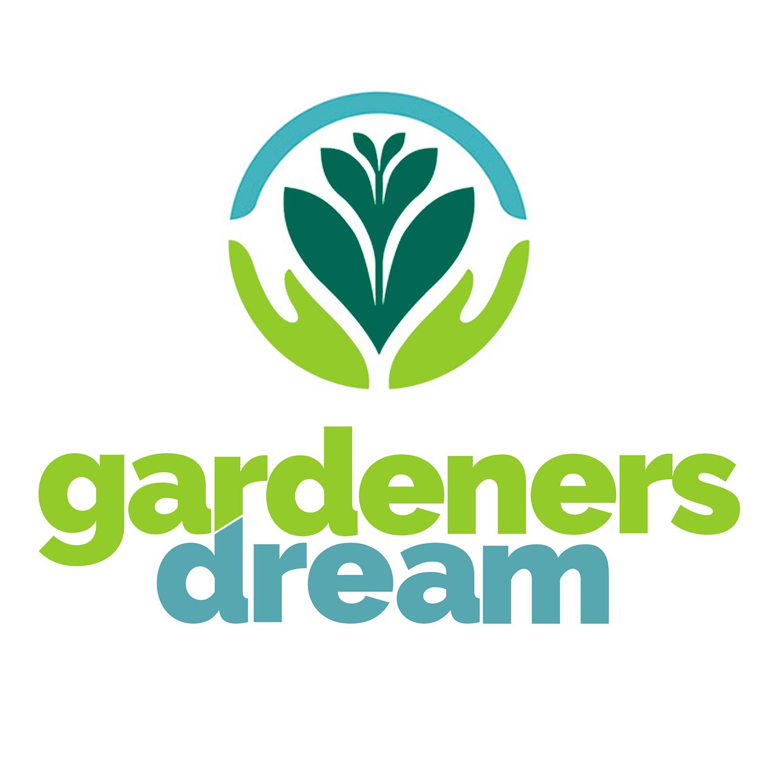 Gardenersdream - Echeveria Miranda Plante Succulente En Pot 10-20 Cm Pour Le Bureau En Promo À Offrir En Cadeau - GardenersDream - Image 5
