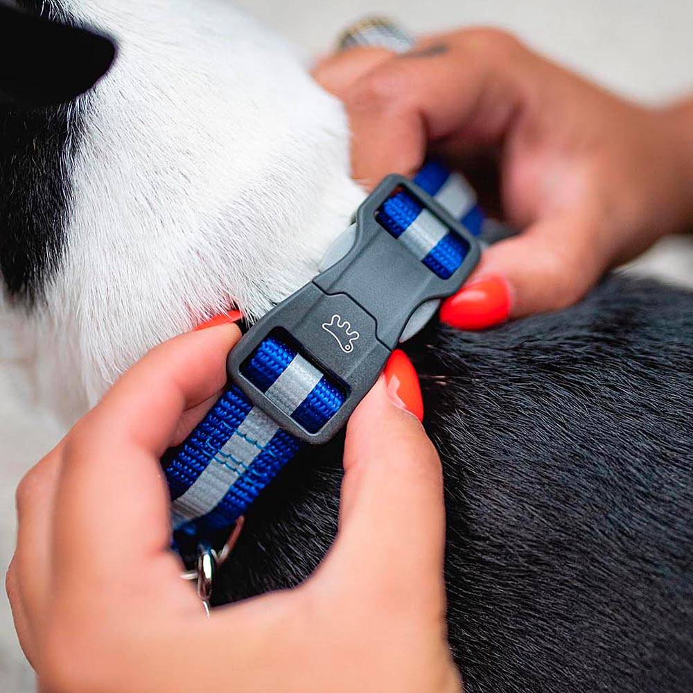 Ferplast - Collier Réfléchissant pour Chiens CLUB REFLEX C20/56 en Nylon avec Boucle Magnétique, idéal pour les promenades en soirée - Image 4