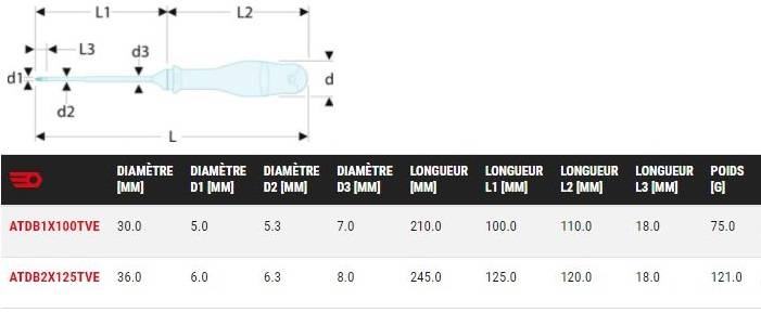 Tournevis Protwist® Borneo® 5x100mm pour vis Pozidriv 210mm - FACOM - ATDB1X100TVE - Image 2