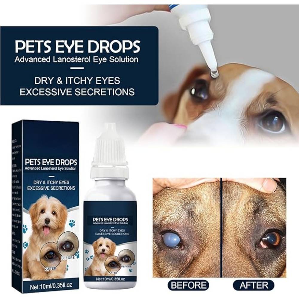 Gouttes pour Yeux de Chats et Chiens - Image 4