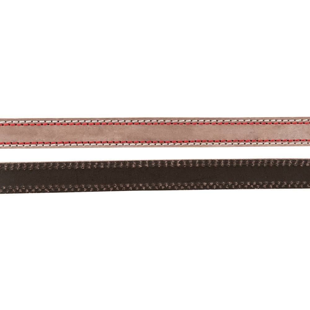 Trixie - Trixie - Laisse 20 mm x  2 M  en cuir réglable marron pour chien - Image 6
