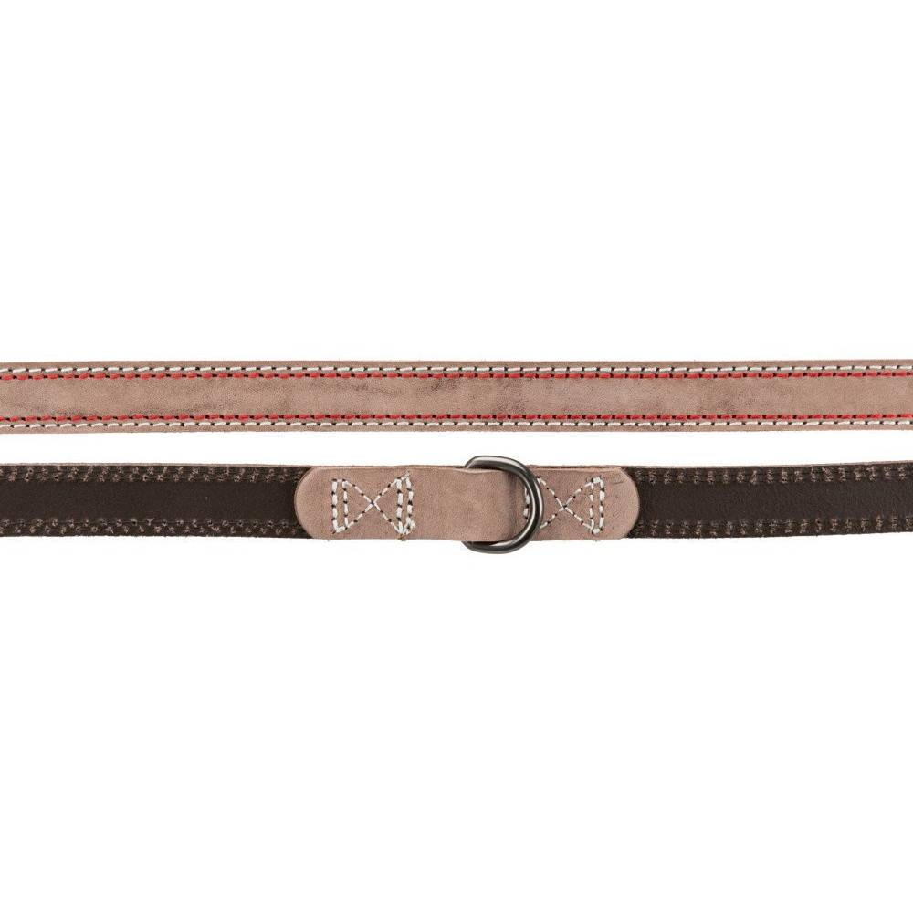 Trixie - Trixie - Laisse 20 mm x  2 M  en cuir réglable marron pour chien - Image 2