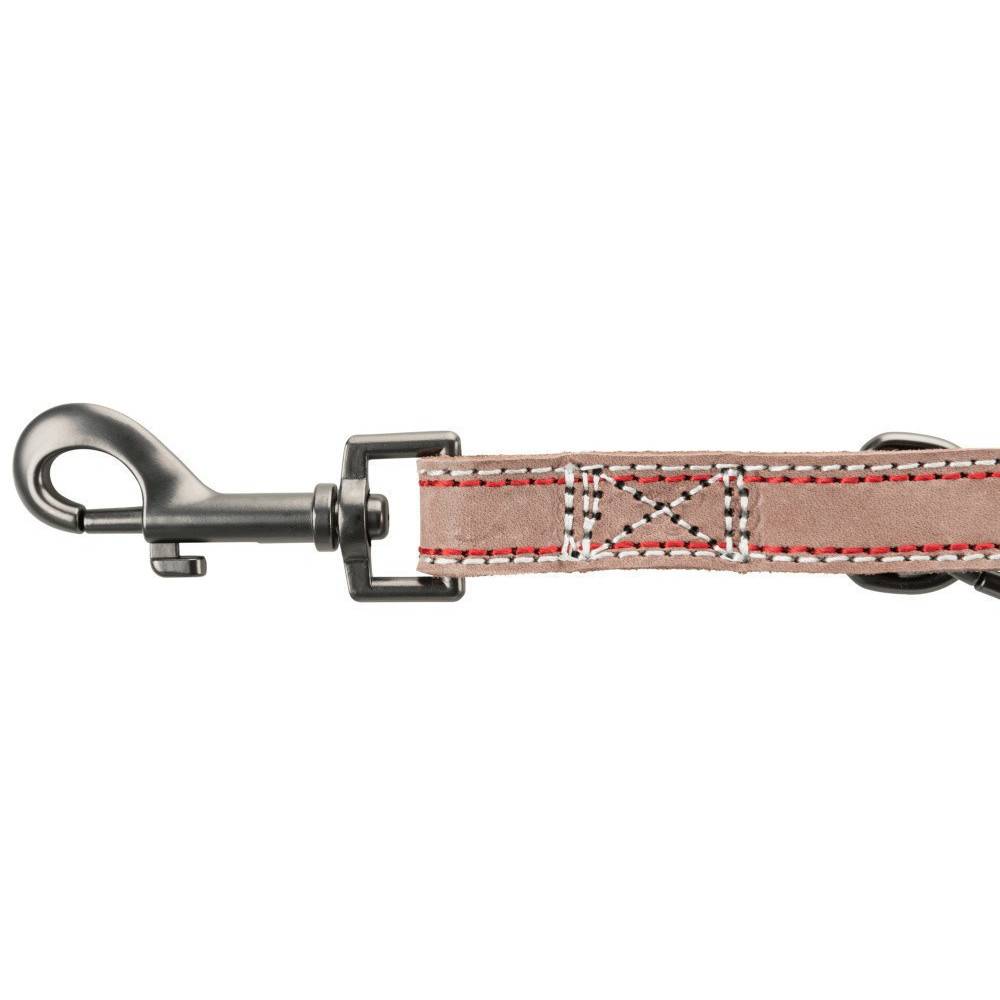 Trixie - Trixie - Laisse 20 mm x  2 M  en cuir réglable marron pour chien - Image 1
