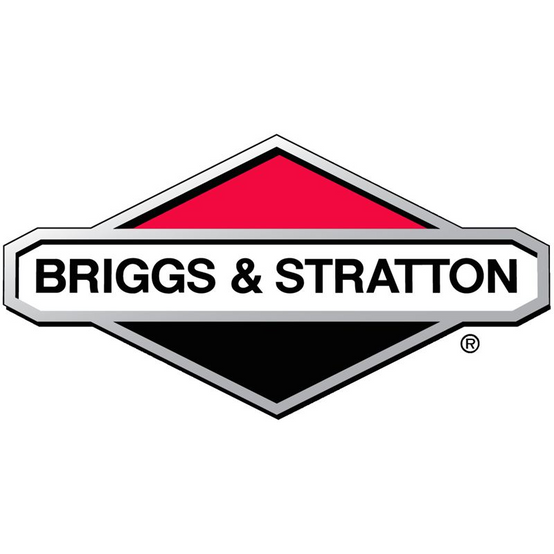 Briggs & Stratton - Vis Briggs et Stratton - 698805