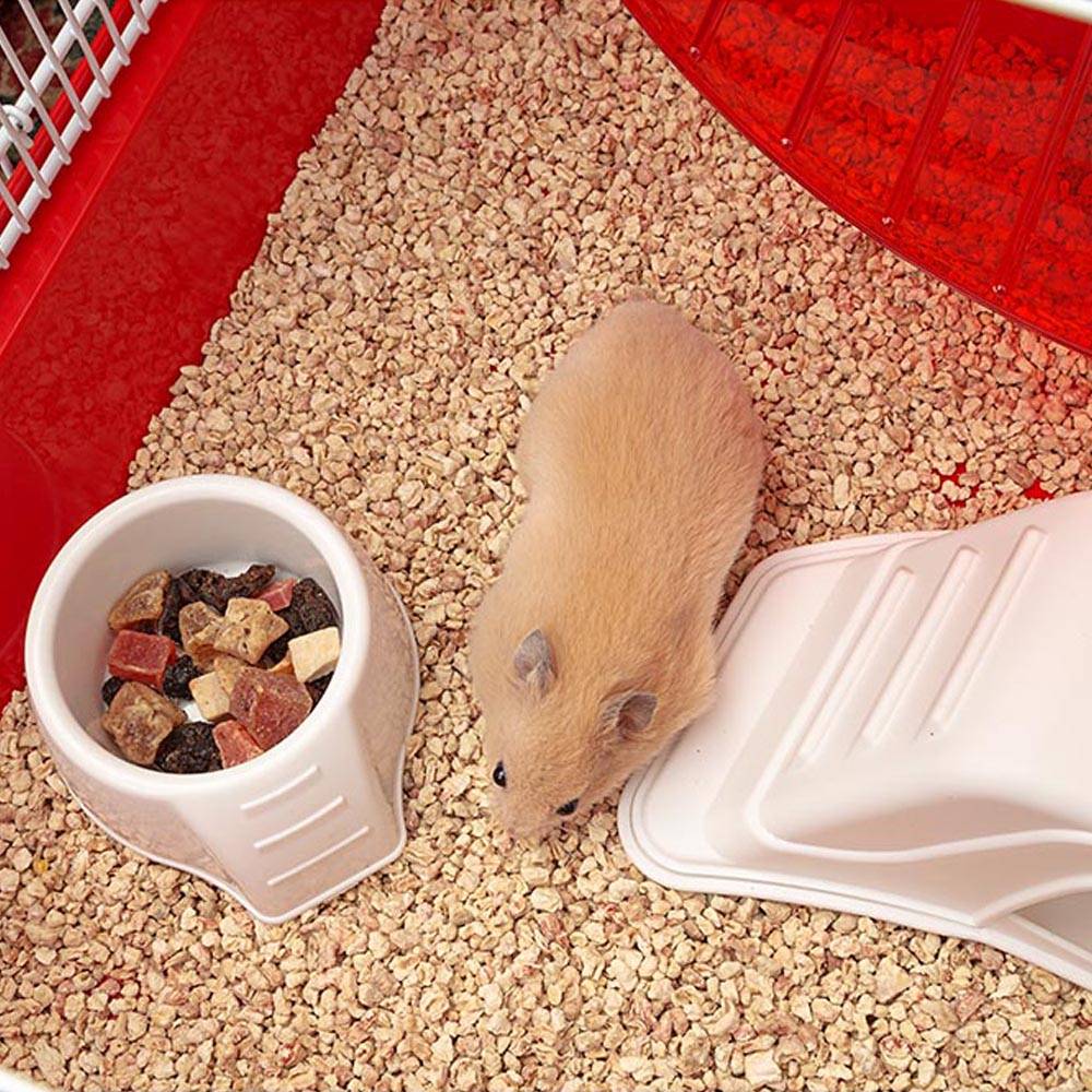 Ferplast - FERPLAST CONEY ISLAND Cage à Rongeurs pour Hamsters, en Métal, Accessoires inclus : Mangeoire, Abreuvoir, Maison, Roue Géante. 50x35xh36,2cm - Image 4