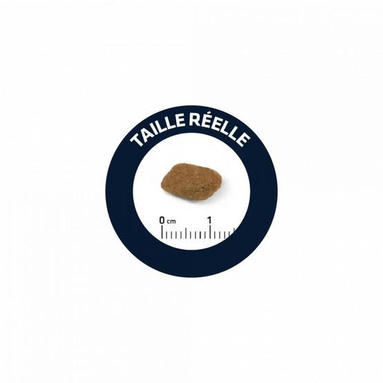 CROQUETTES CHIEN SENIOR MEDIUM - ADVANCE 12 kg - Image 2
