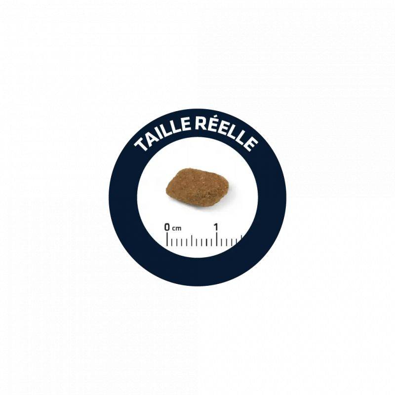CROQUETTES CHIEN SENIOR MEDIUM - ADVANCE 12 kg - Image 2