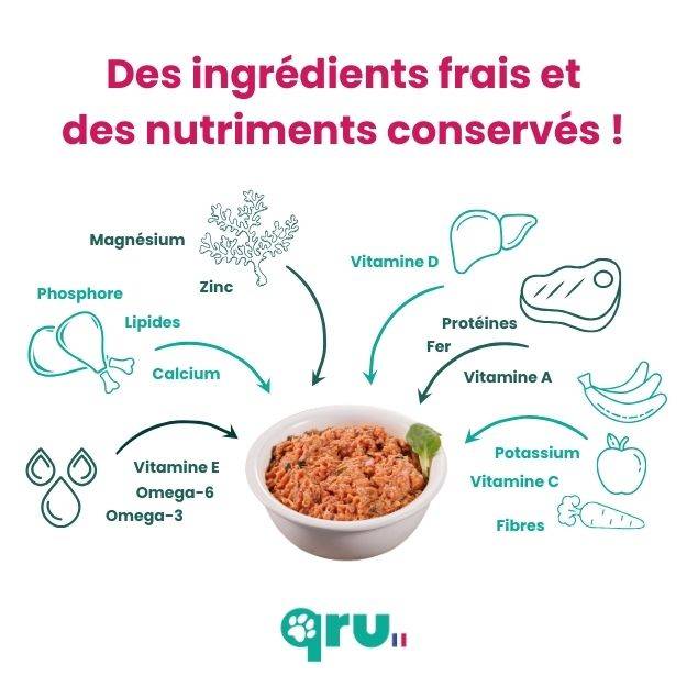 0 - QRU - Barf complet chien - Poulet Intro x10 - 4,5 kg - Image 7