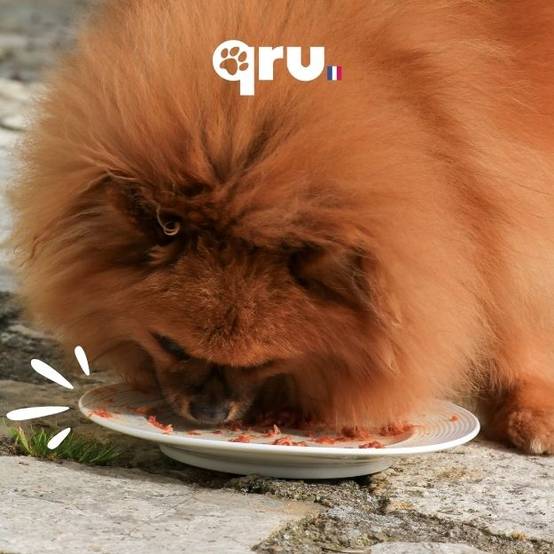 0 - QRU - Barf complet chien - Poulet Intro x10 - 4,5 kg - Image 8