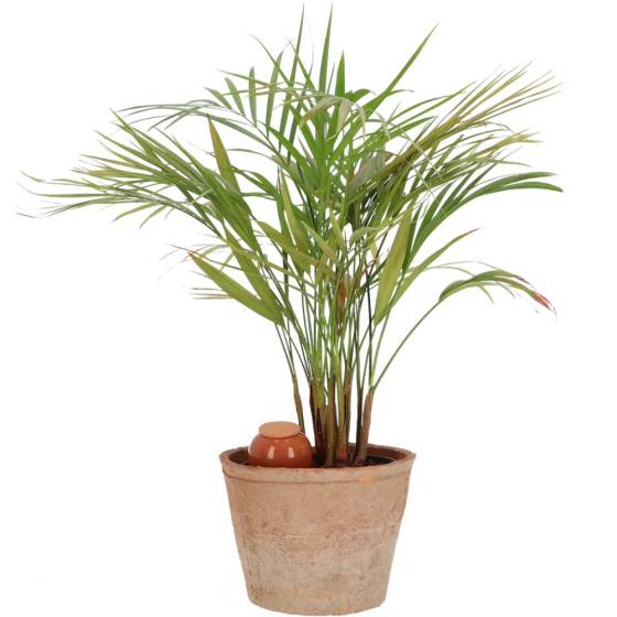 Esschert Design - Esschert Design - Arrosoir Olla pour plantes d'intérieur - Image 3