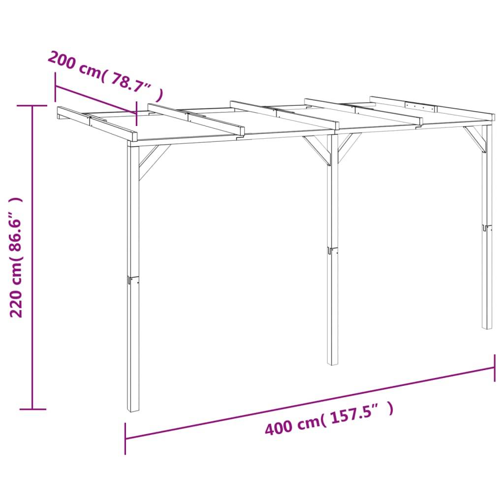 Pergola - Tonnelle de jardin à appentis 2 x 4 x 2,2 m Bois - Image 6