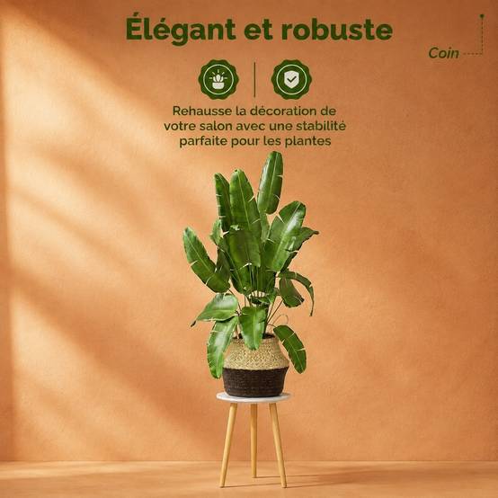 Support Plante Bois Blanc Multifonction Déco Maison Design Moderne - Image 6