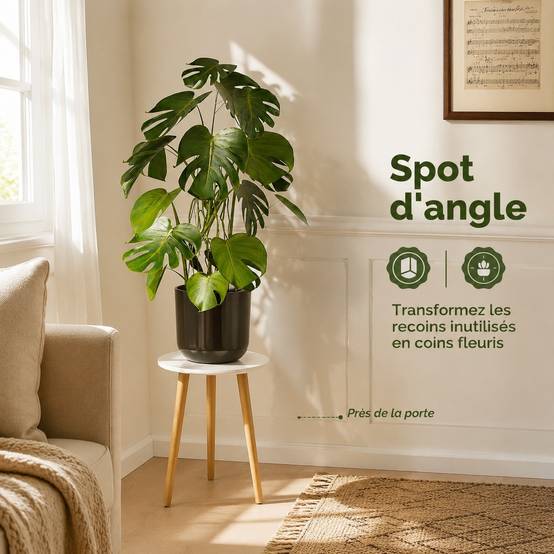 Support Plante Bois Blanc Multifonction Déco Maison Design Moderne - Image 3