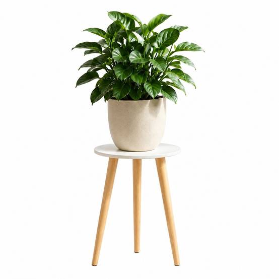 Support Plante Bois Blanc Multifonction Déco Maison Design Moderne - Image 1