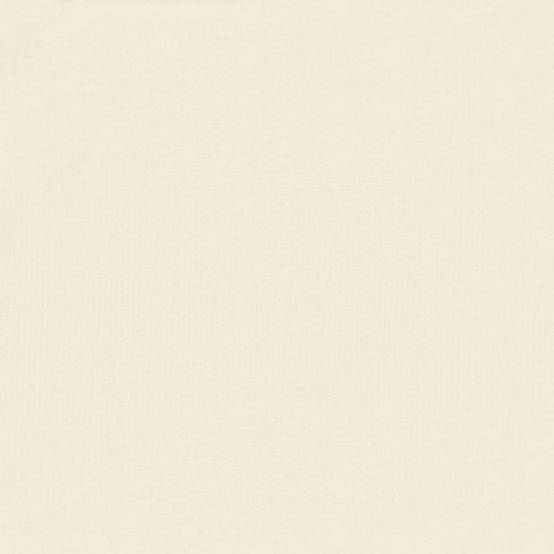Écran de confidentialité polyester crème 300 x 180 cm - PANGIVO - Image 5