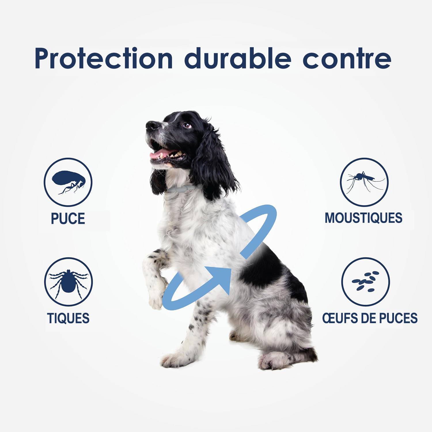 Collier antiparasitaire pour chien DtopbuyAge - Image 2
