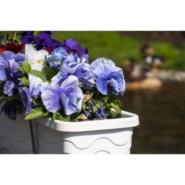 Or Brun - Or Brun Terreau Pots Et Jardinieres 4l - Image 3