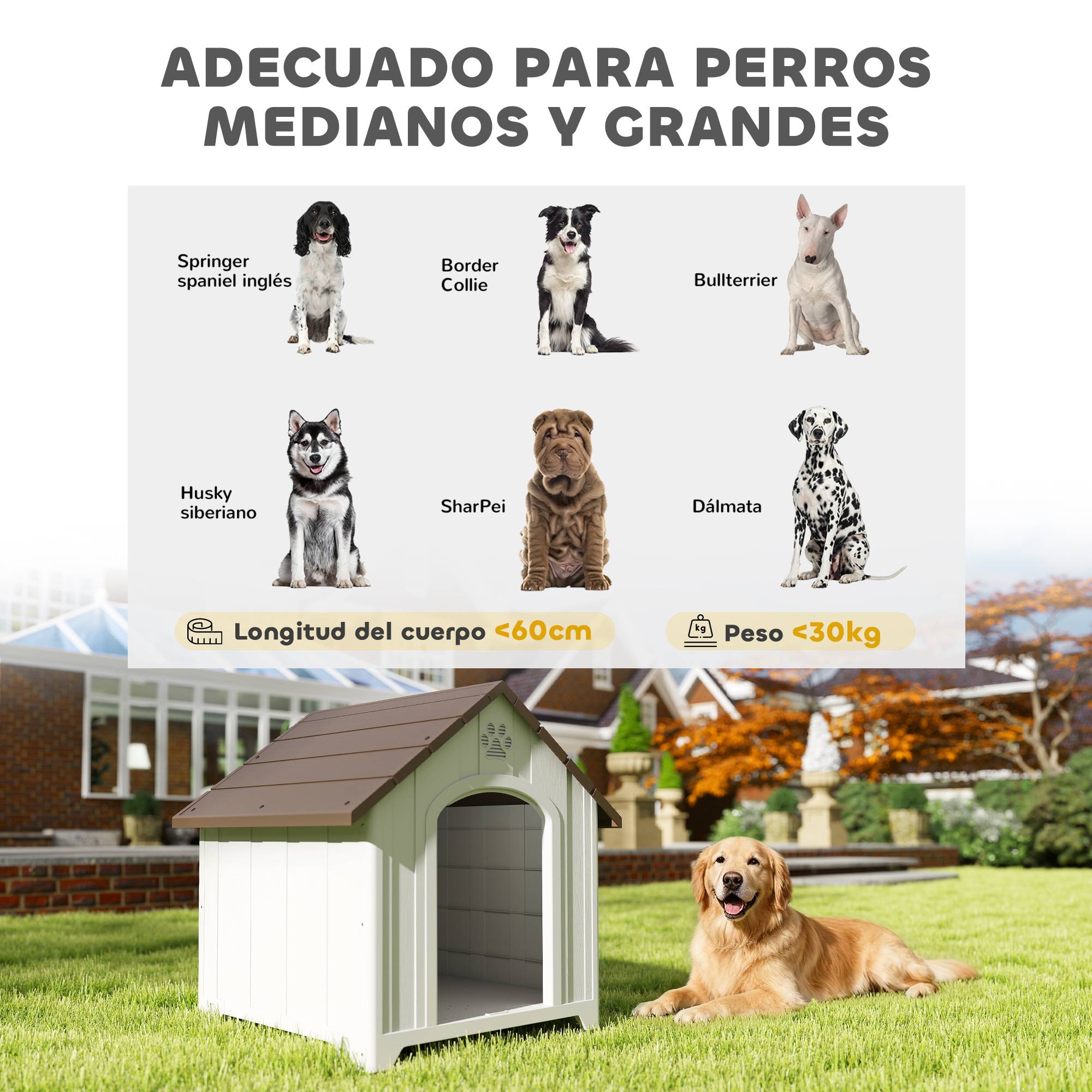 Niche extérieure en plastique, grand chien, 2 fenêtres, base surélevée, piquets, marron foncé - Image 7