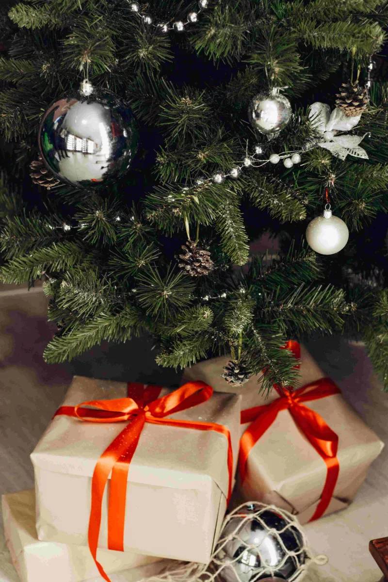 Sapin de Noël naturel Nordmann : 100 à 125cm avec support à réserve d'eau - Image 3
