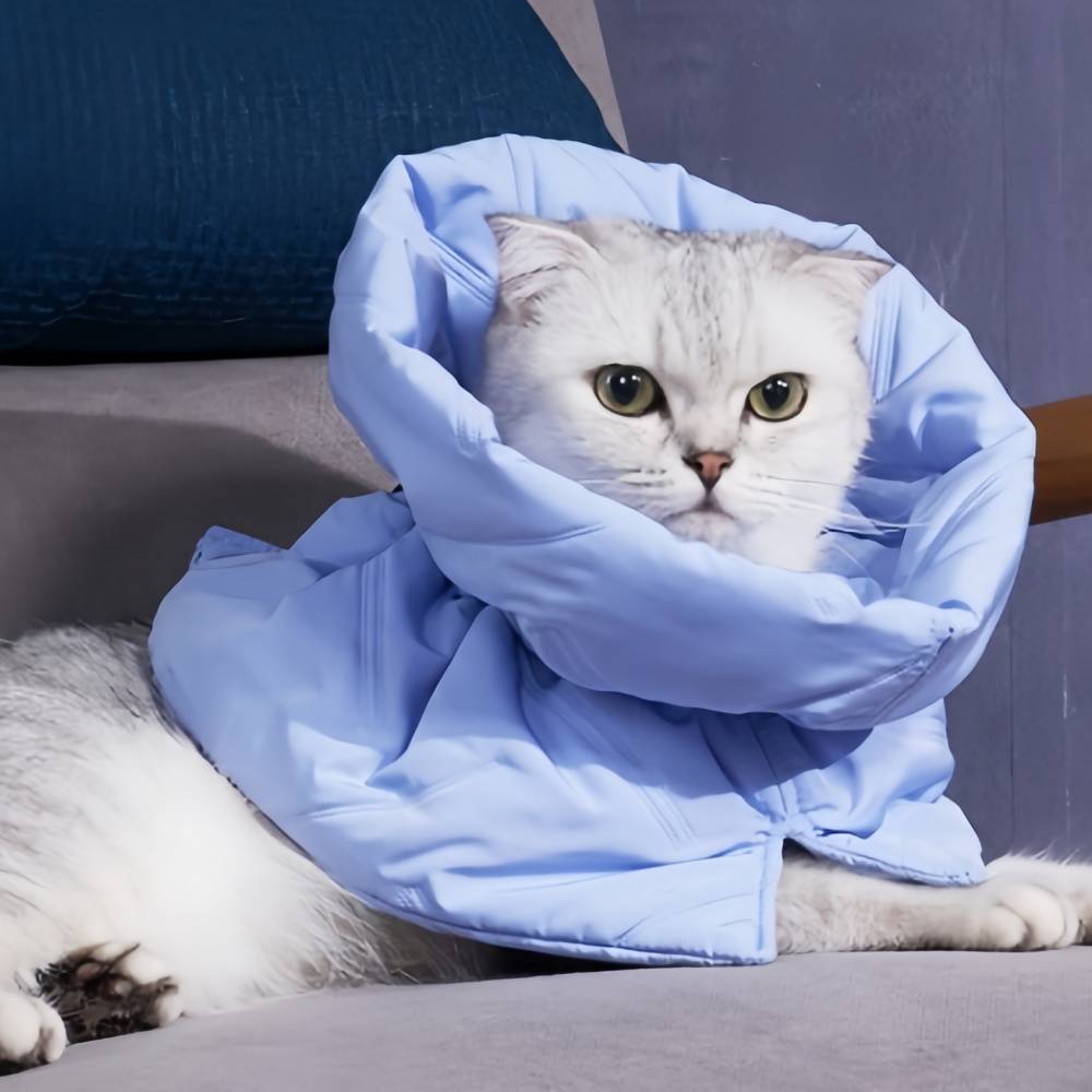 IntiMeg - Collier anti-lèchage pour chat Bleu clair M IntiMeg - Image 6