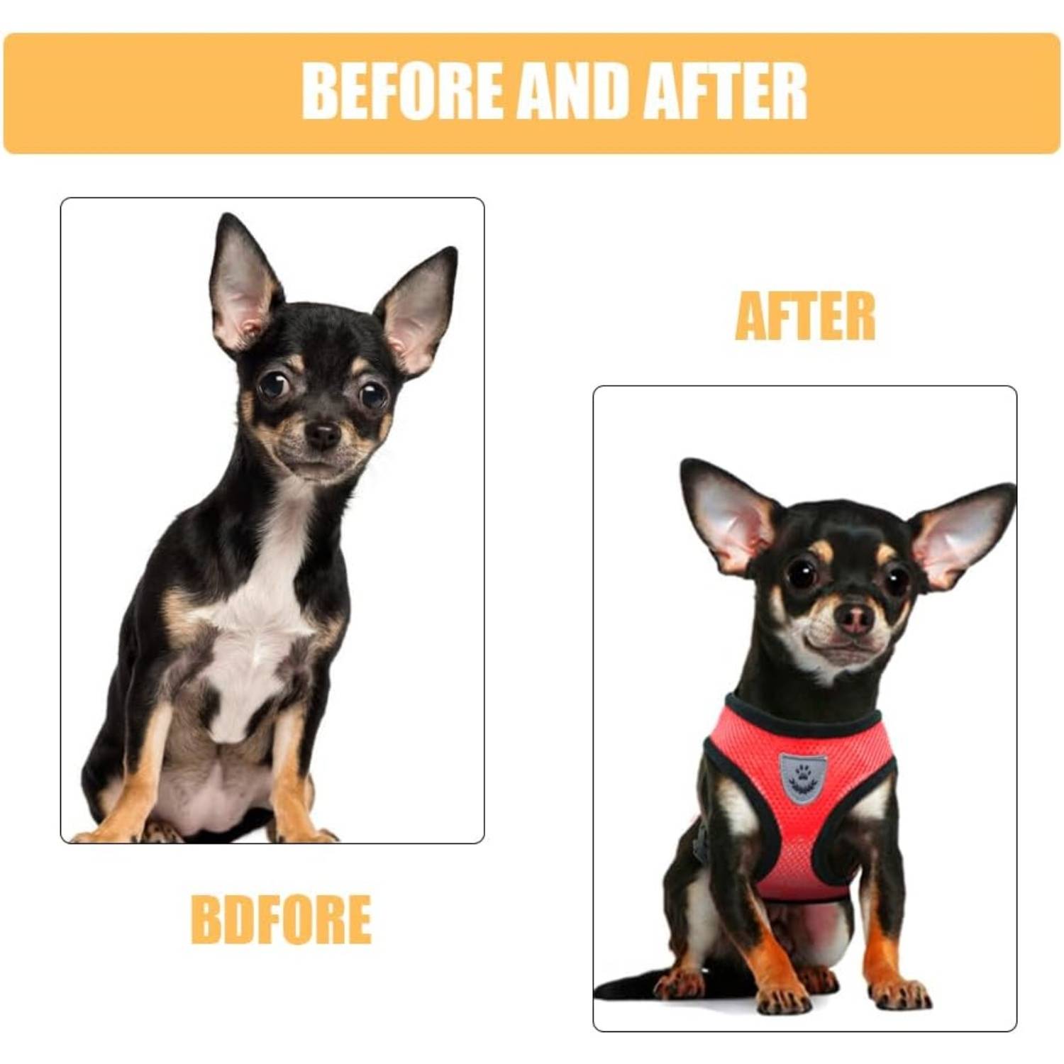 DtopbuyAge - Harnais Léger pour Chihuahua et Petit Chien DtopbuyAge - Image 5