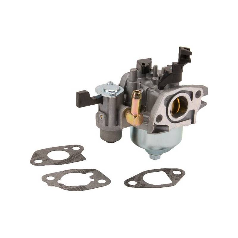 Briggs & Stratton - Carburateur Briggs et Stratton - 596079 - Image 1