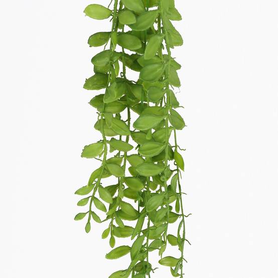 Ligne Deco - Chute plante artificielle 85cm lot de 2 - Image 4