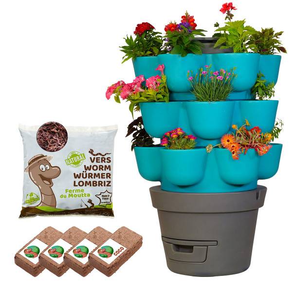 Ferme Du Moutta - WORMgarden Turquoise 3 jardinières + 500gr de Vers - Image 1