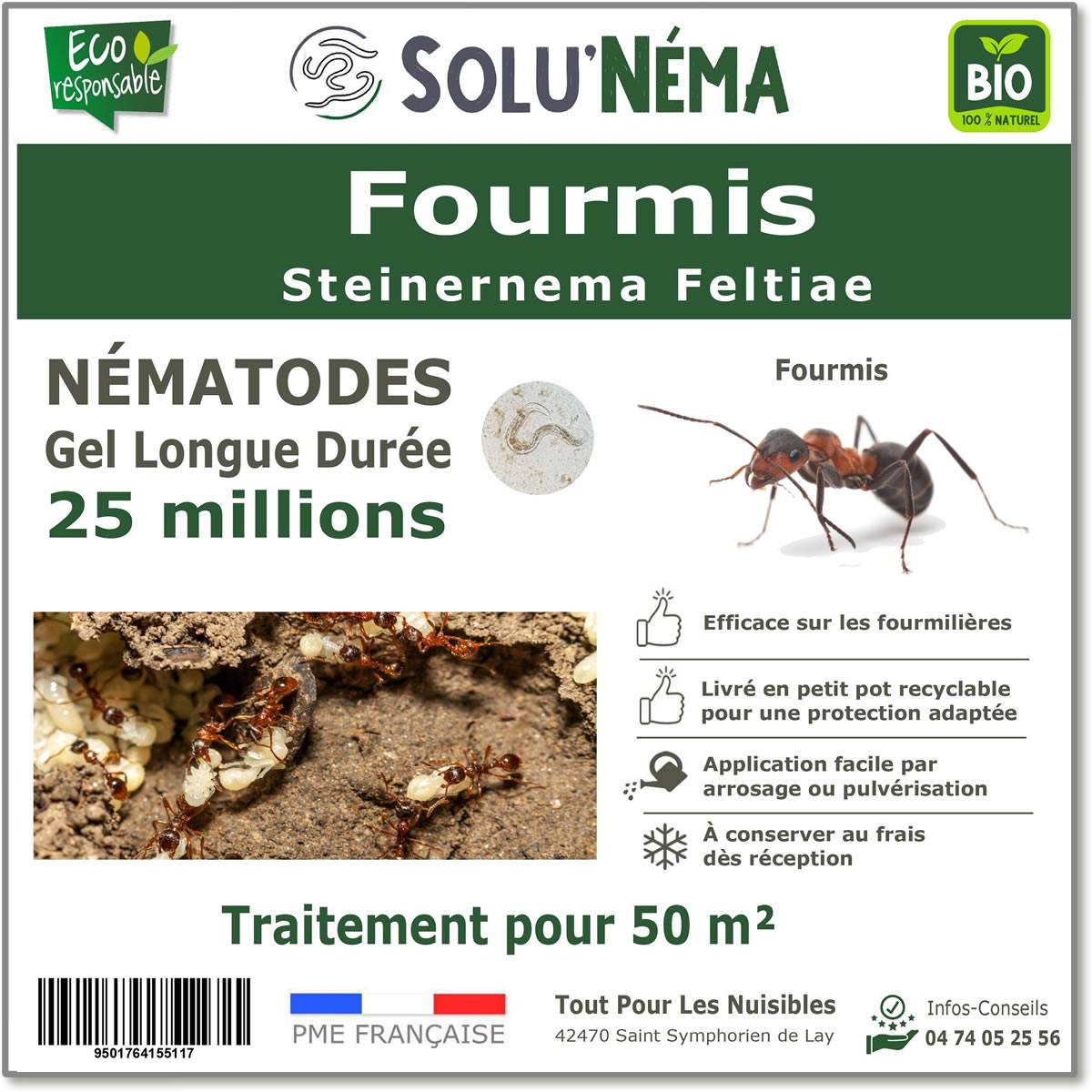 Tout pour les nuisibles - Solunéma - Fourmis - Traitement à base de Nématodes Steinernema feltiae (SF) - 25 millions pour 50m² - Image 1