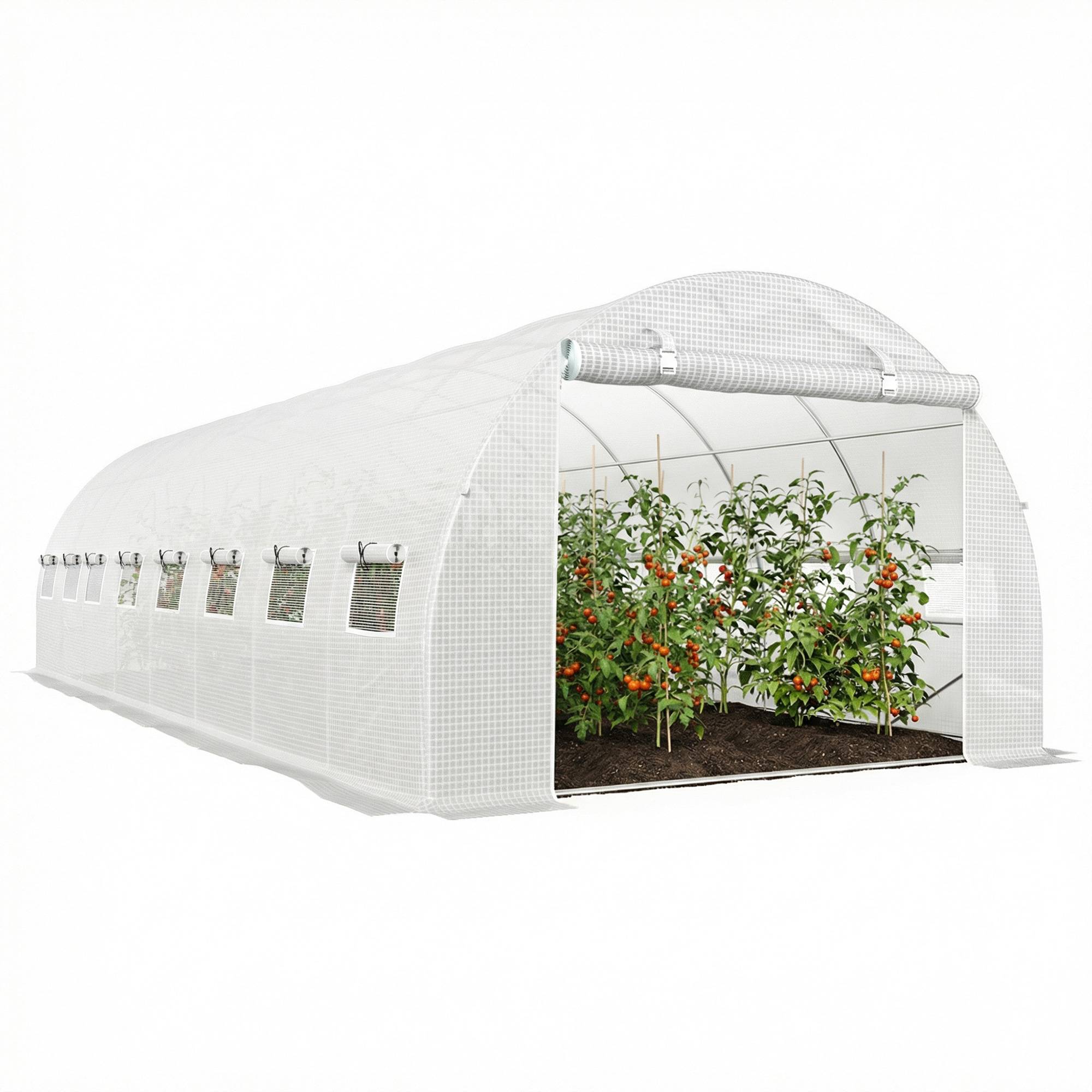 Serre Tunnel de Jardin 24 m² 8 x 3 x 2 m, Acier Galvanisé, Bâche PE, Porte et 16 Fenêtres - Image 1