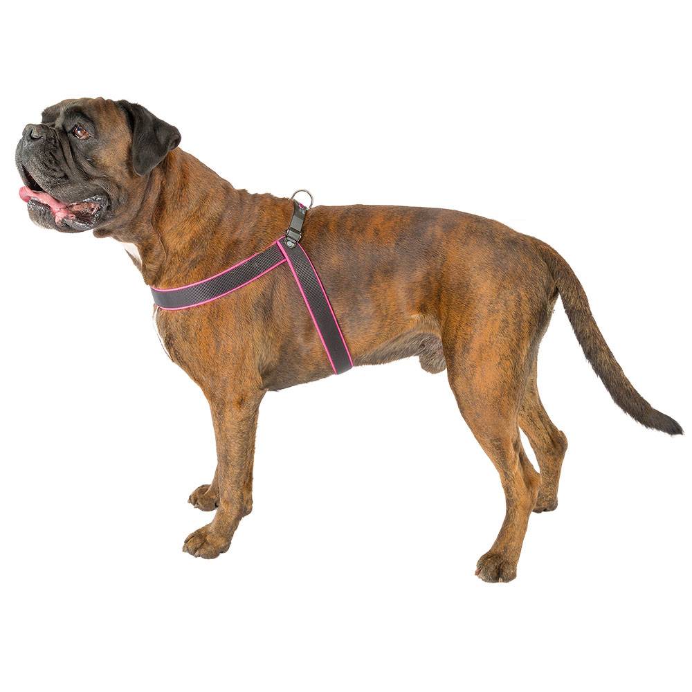 Ferplast - Ferplast Harnais ergonomique pour chiens AGILA FLUO 9, ajustement parfait, fermeture à double micro-régulation, rembourrage souple, A=B 77÷85 cm 25 mm - Image 8
