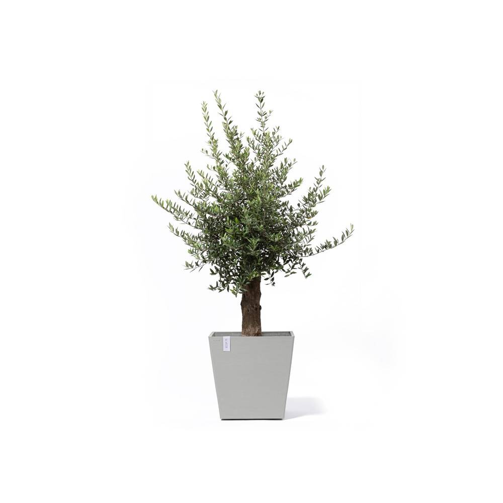 Ecopots - Grand pot sur roues Rotterdam 50 Blanc Gris - 50 x 50 x H. 49,2 cm - 76,3 L ECOPOTS - Image 1