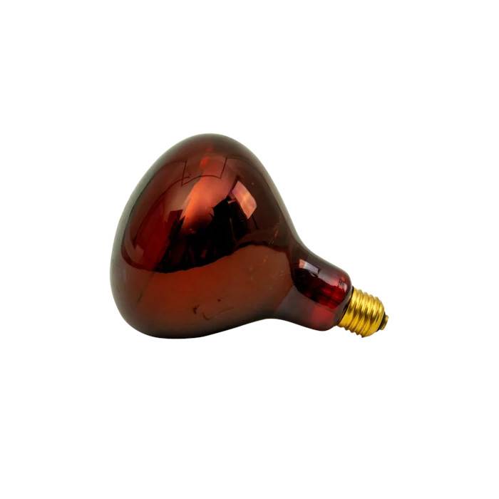 Horizont - Ampoule infrarouge IR 150W rouge - Image 3