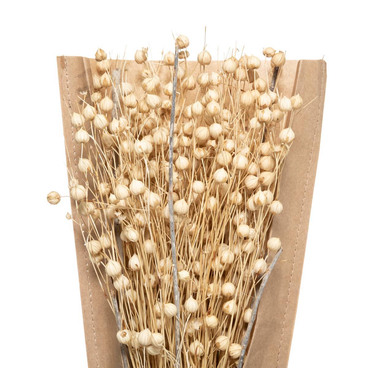 Atmosphera - Bouquet fleurs séchées H45cm - Atmosphera Créateur d'intérieur - Image 5