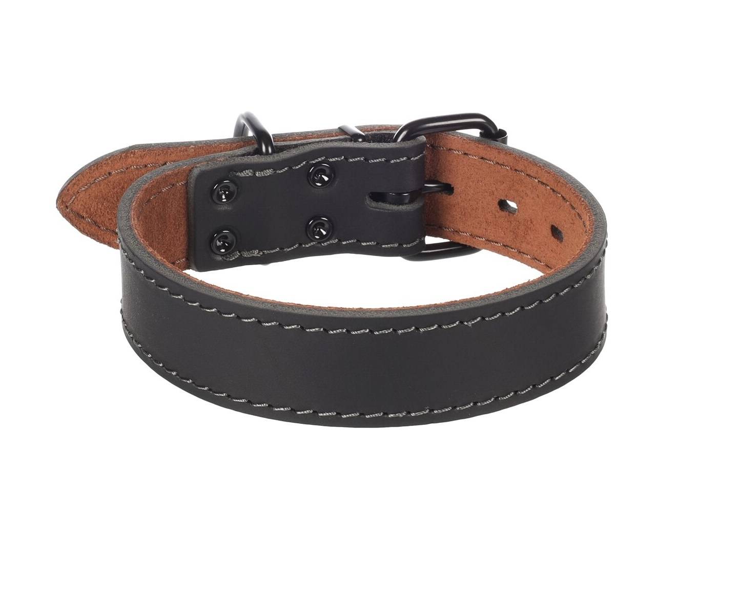 Eden - Collier Chien Montana en cuir noir XXL 53-63cm 40mm - Image 1