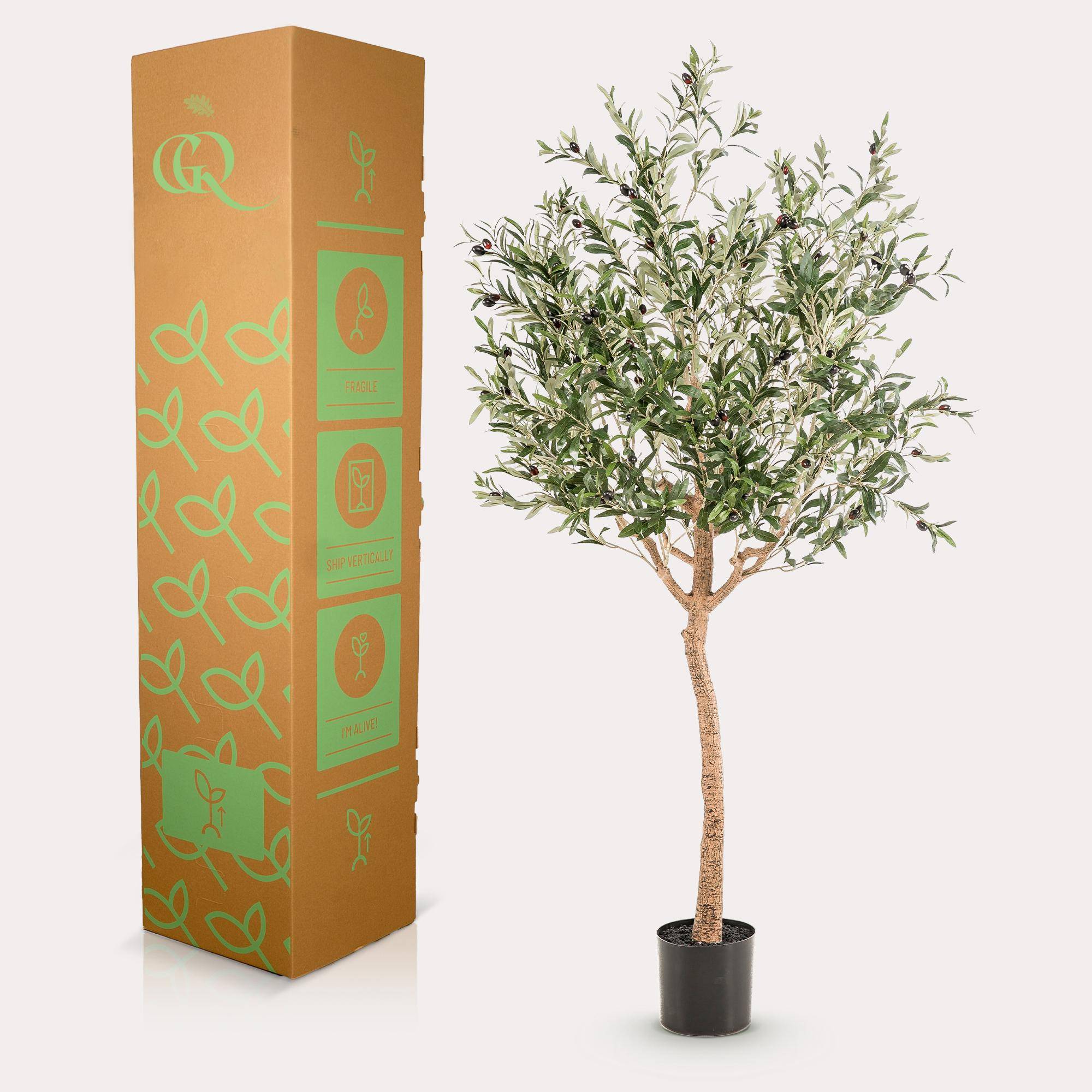 PANGIVO - Olivier artificiel plastique vert 60 x 60 x 180 cm - PANGIVO - Image 5