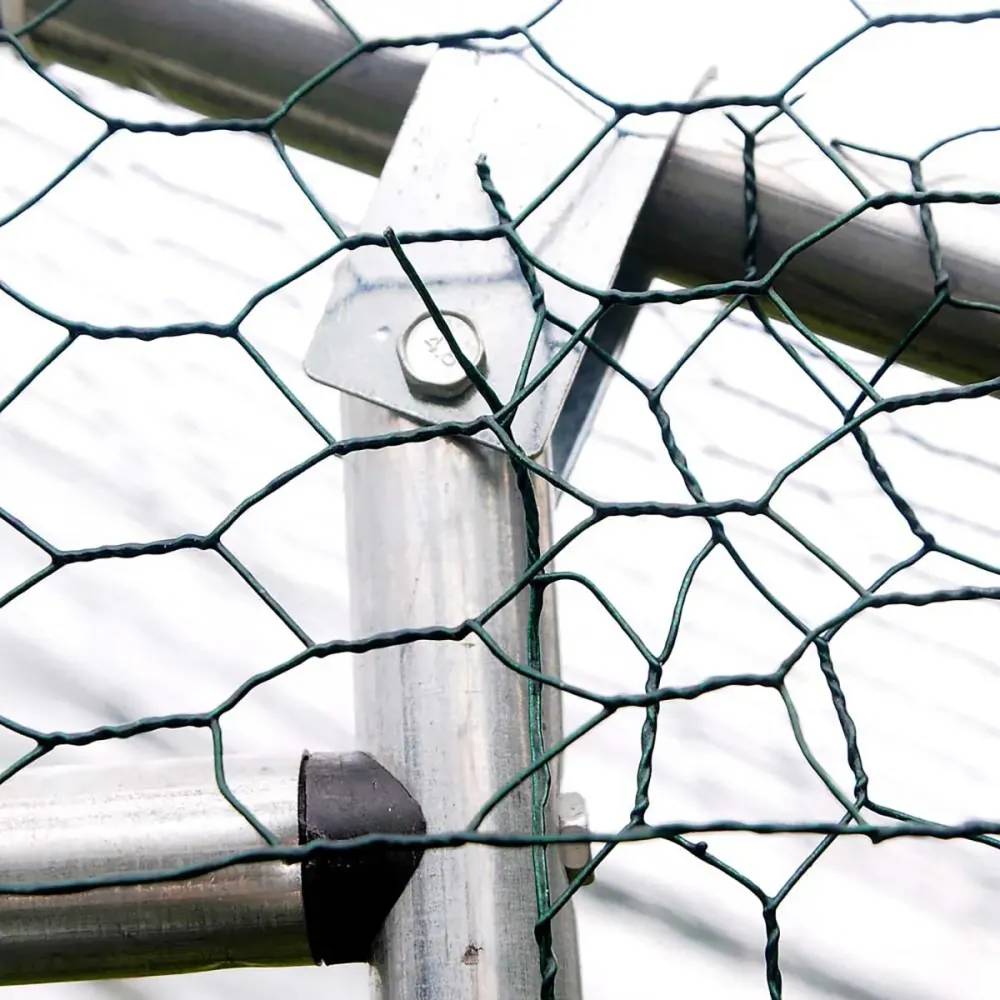 Enclos pour volailles 12m² - Structure galvanisée 4x3x2m - Image 5