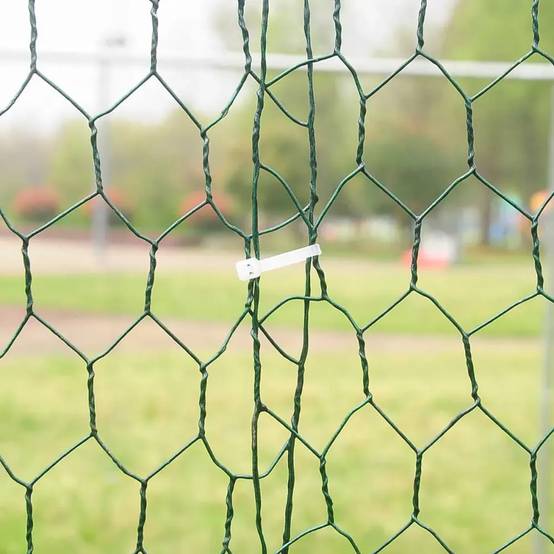 Enclos pour volailles 12m² - Structure galvanisée 4x3x2m - Image 7