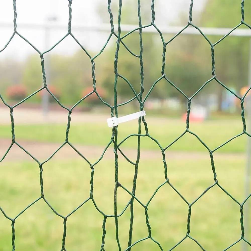 Enclos pour volailles 12m² - Structure galvanisée 4x3x2m - Image 7